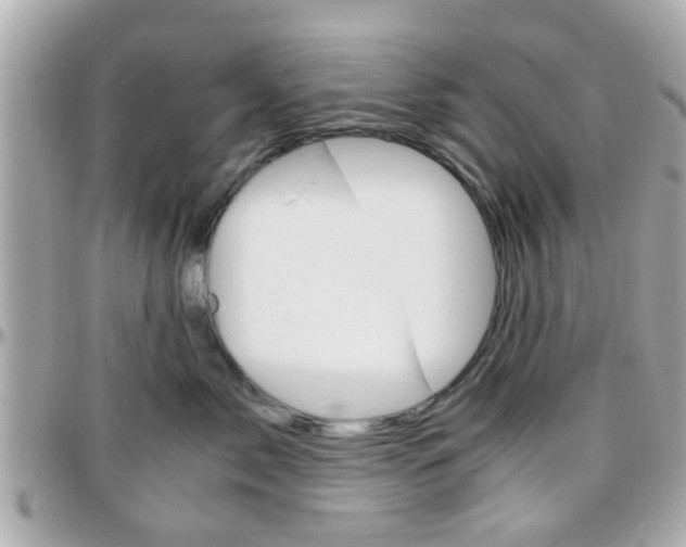 X0000096440717200801241118