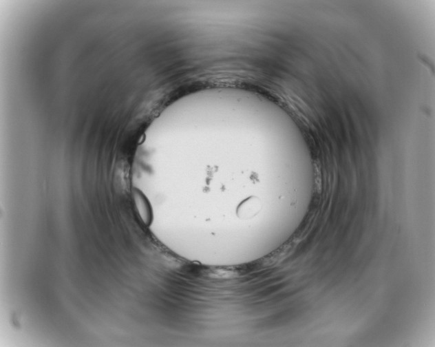 X0000096440718200801241118