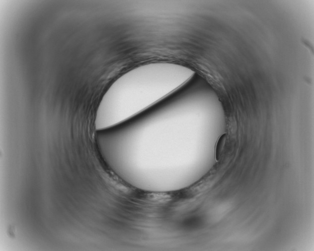 X0000096440719200801241118