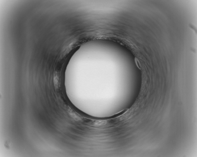 X0000096440720200801241118