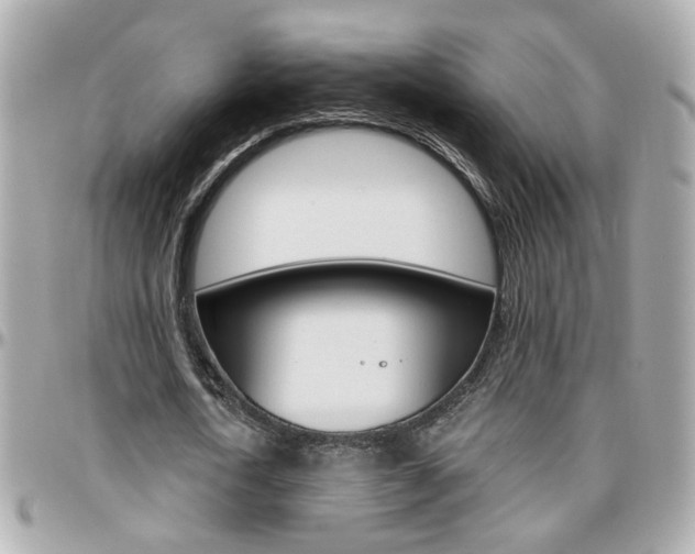 X0000096440722200801241117