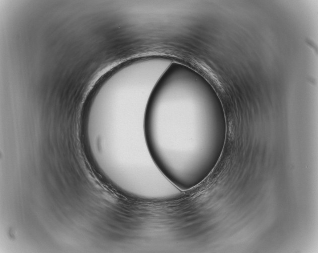 X0000096440724200801241117