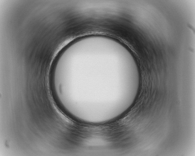 X0000096440726200801241117