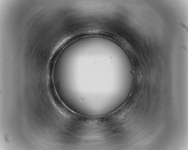 X0000096440728200801241117