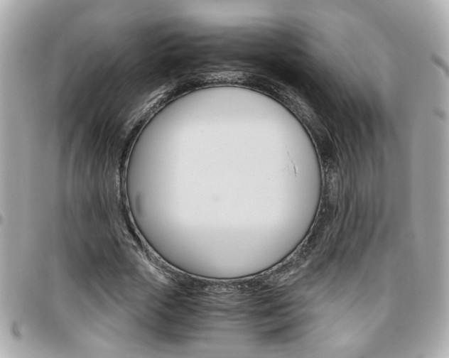 X0000096440729200801241117