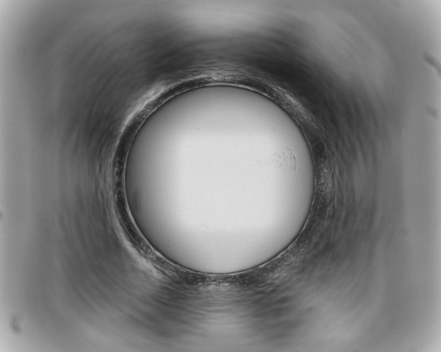 X0000096440730200801241117