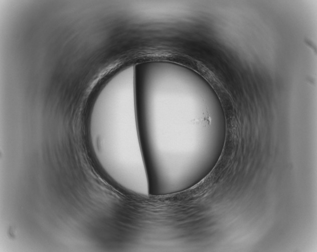 X0000096440731200801241117
