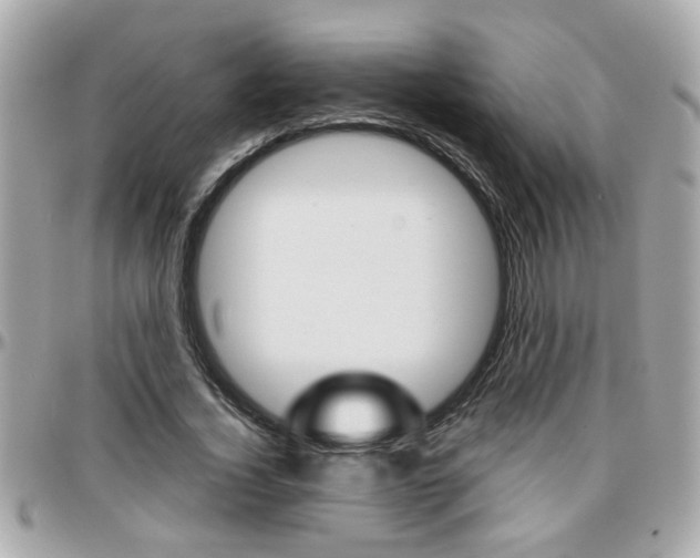 X0000096440732200801241117