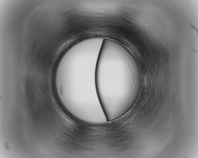 X0000096440733200801241117