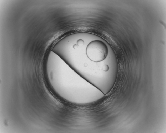X0000096440734200801241117