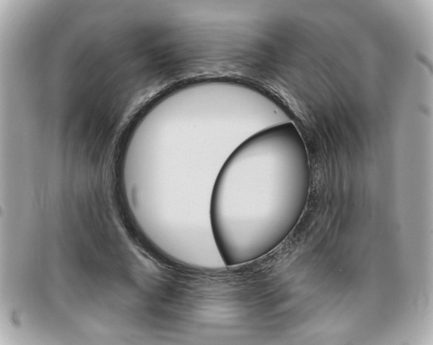 X0000096440736200801241117
