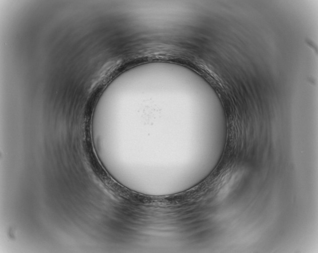 X0000096440738200801241117