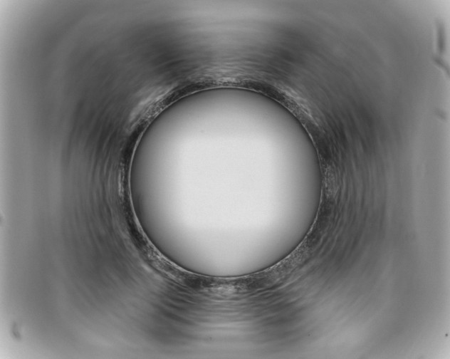 X0000096440740200801241117