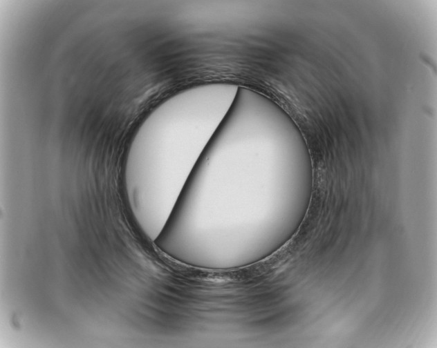 X0000096440741200801241117