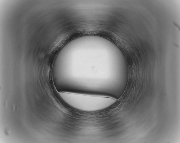 X0000096440742200801241117