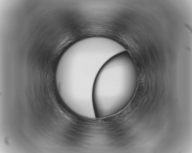X0000096440744200801241117