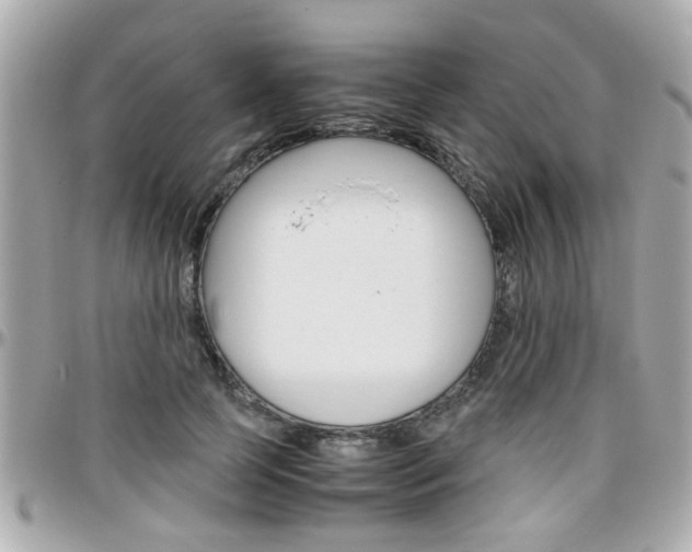 X0000096440745200801241117