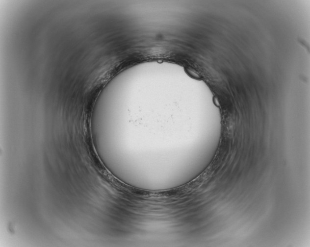 X0000096440746200801241117
