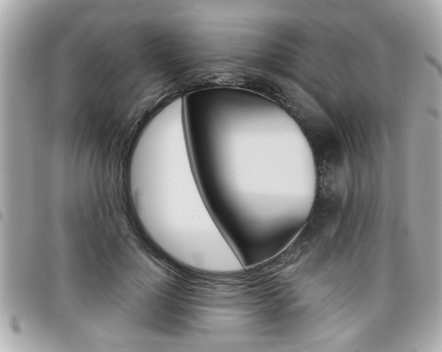 X0000096440748200801241117