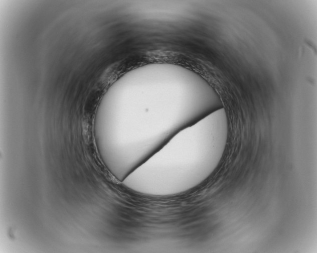 X0000096440749200801241117