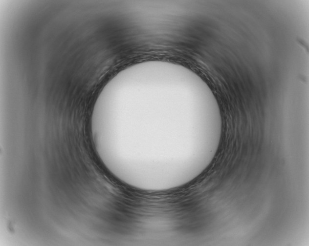 X0000096440750200801241117