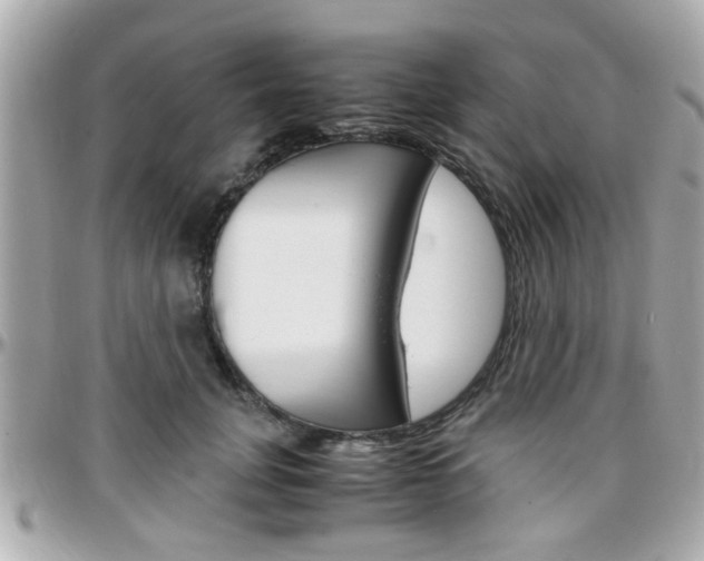 X0000096440751200801241117