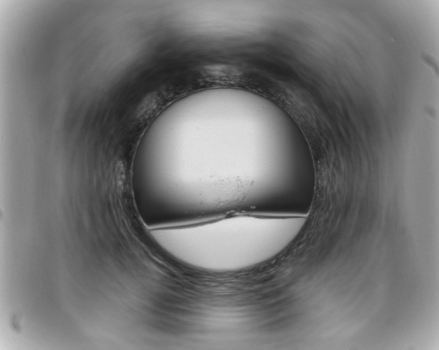 X0000096440752200801241117