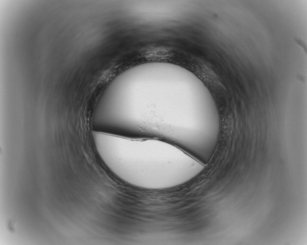 X0000096440755200801241117
