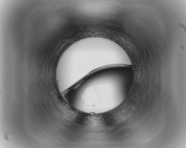 X0000096440756200801241117