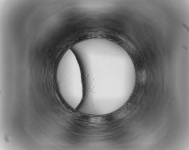X0000096440757200801241117