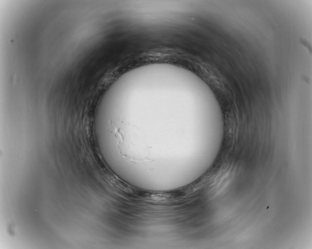 X0000096440758200801241117