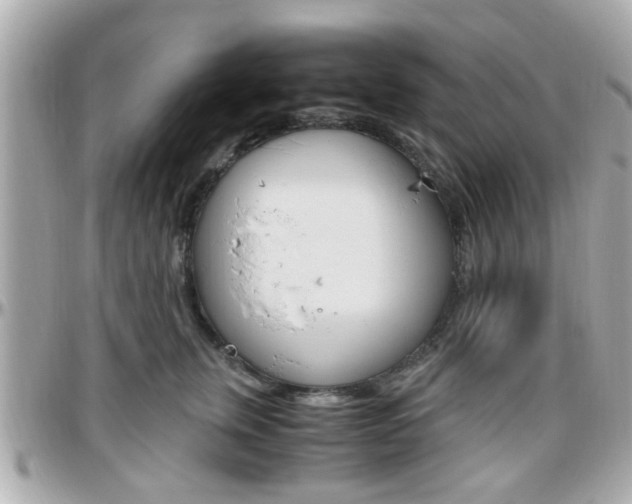 X0000096440759200801241117