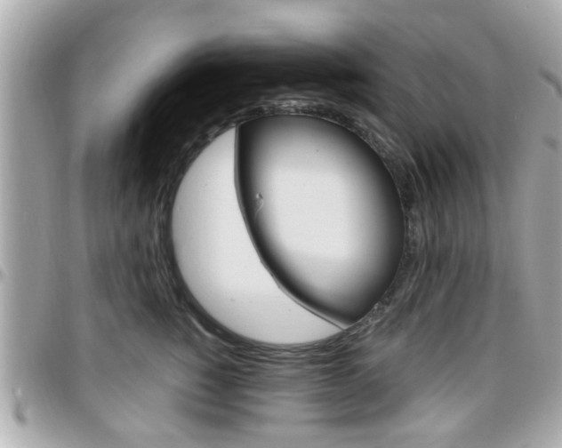 X0000096440760200801241117