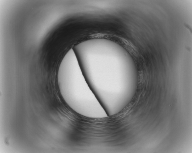 X0000096440761200801241117