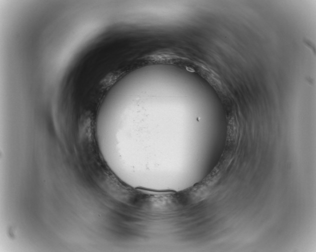 X0000096440762200801241117