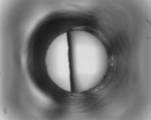 X0000096440763200801241117