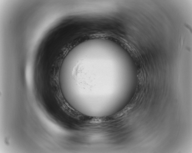 X0000096440764200801241117