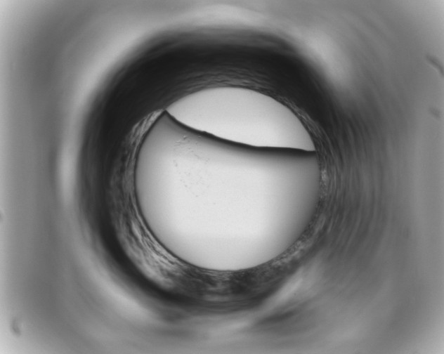 X0000096440765200801241117