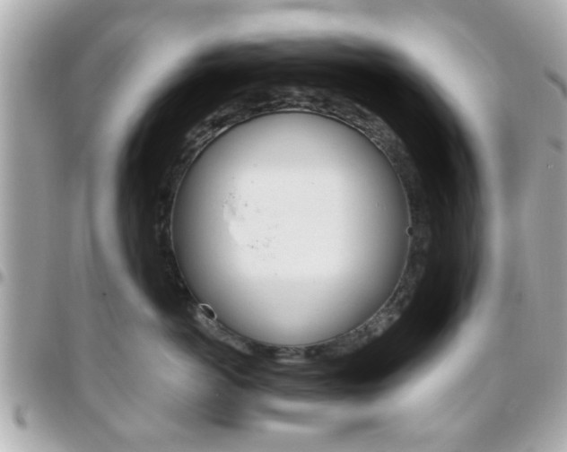 X0000096440766200801241117