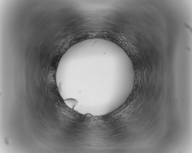 X0000096440770200801241117