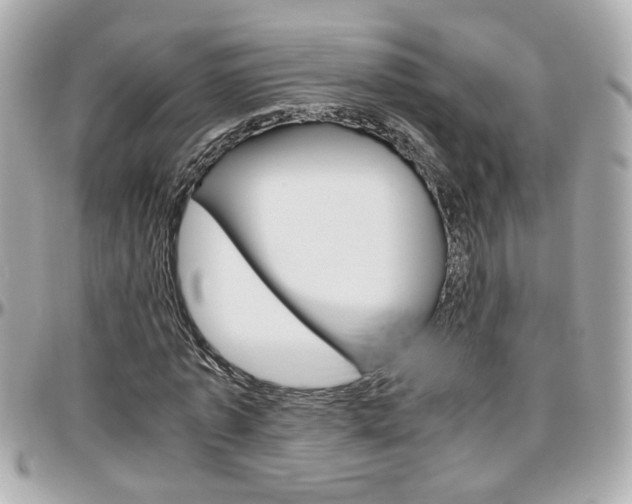 X0000096440773200801241117