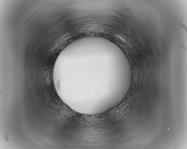X0000096440774200801241117