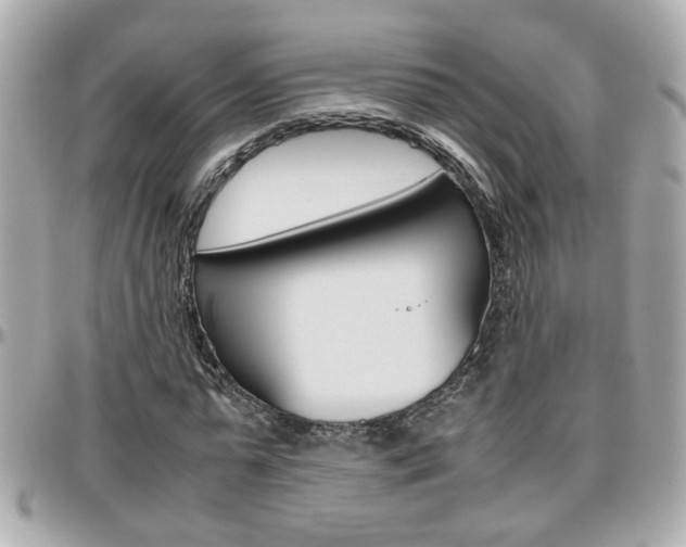 X0000096440775200801241117