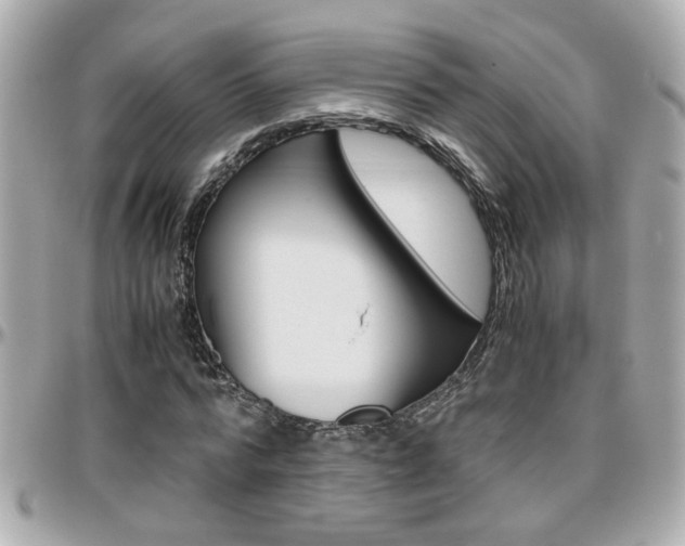 X0000096440776200801241117