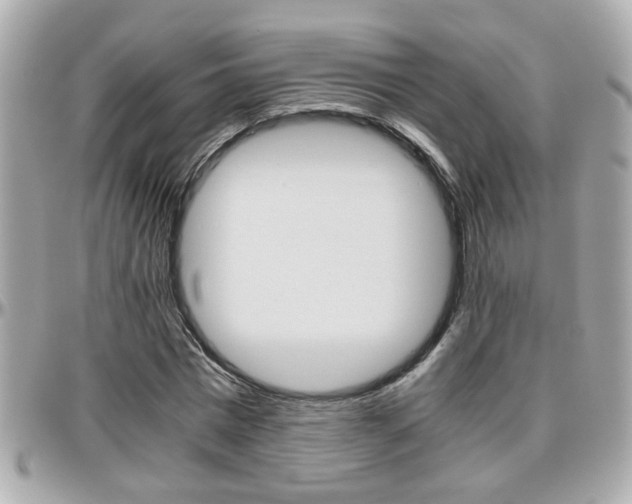 X0000096440777200801241117