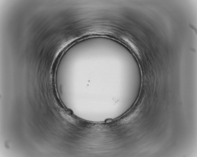 X0000096440779200801241117