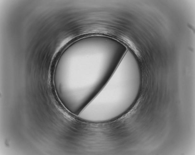 X0000096440780200801241117