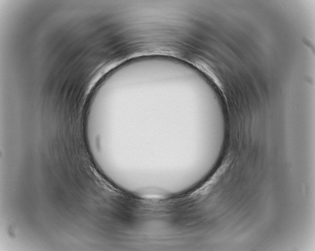 X0000096440781200801241117