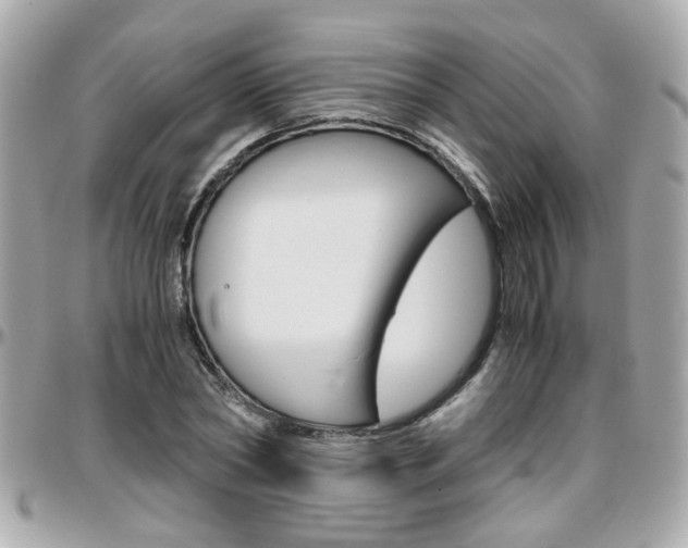 X0000096440782200801241117