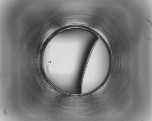 X0000096440783200801241117